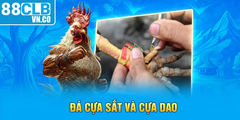 Đá cựa sắt và cựa dao