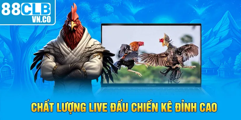 Chất lượng live đấu chiến kê đỉnh cao