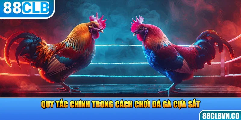 Quy tắc chính trong cách chơi đá gà cựa sắt