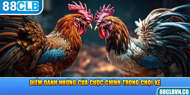 Điểm danh những cửa cược chính trong chọi kê