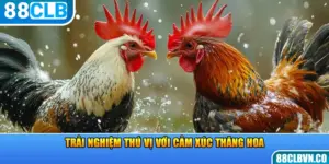 Trải nghiệm thú vị với cảm xúc thăng hoa 