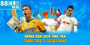 Hướng dẫn cách tính tiền thắng theo tỷ số kèo bóng